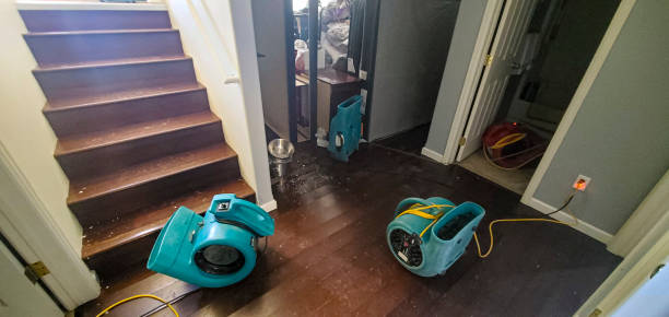 Best Ceiling water damage repair  in Centerville, SC