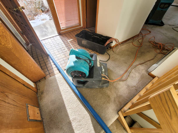 Best Water damage contractors near me  in Centerville, SC