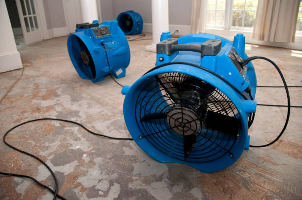 Best Water damage restoration near me  in Centerville, SC