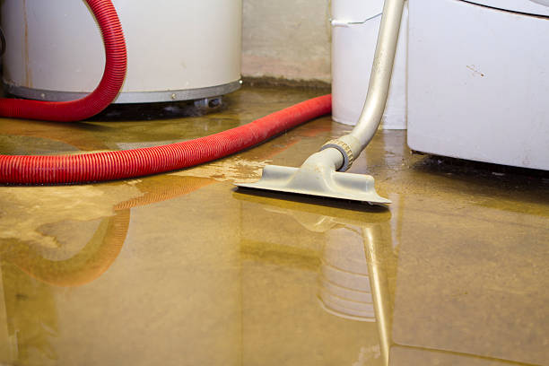 Best Water damage cleanup near me  in Centerville, SC
