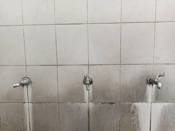 Best 24-hour water damage restoration  in Centerville, SC